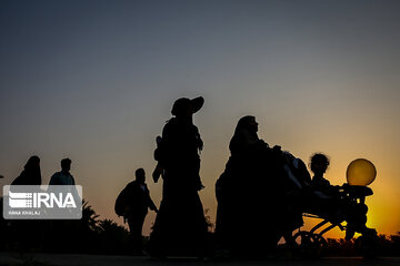 Karbala : Le chemin des Uléma à travers des palmiers-dattiers