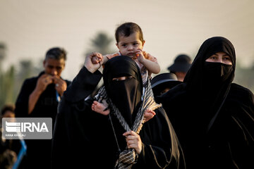 Karbala : Le chemin des Uléma à travers des palmiers-dattiers