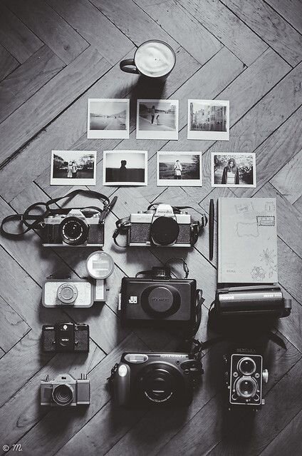 رسانه، عضو ثابت خانوادهها