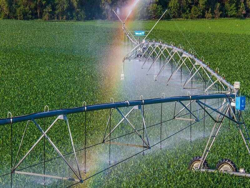 آبیاری نوین، راهی میان‌بُر برای مدیریت مصرف آب/ تجهیز ۱۹۲ هزار هکتار از کشتزارهای خراسان رضوی 