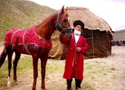 حدود نیمی از اسب‌های اصیل ترکمن در خراسان‌شمالی پرورش داده می‌شود