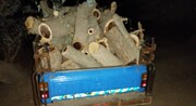 کشف هفت تن چوب جنگلی قاچاق در ساری 