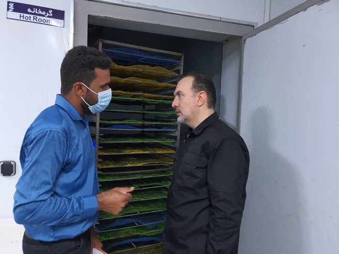 بزرگترین شرکت تولید کننده ریز جلبک کشور در قشم افتتاح شد