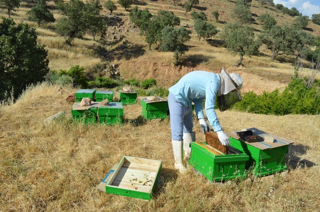 بنیاد برکت ۶۰۰طرح اشتغالزایی در گچساران اجرا کرد بنیاد برکت ۶۰۰طرح اشتغالزایی در گچساران اجرا کرد