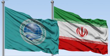 عضویت ایران در سازمان شانگهای در جهت خنثی‌سازی تحریم‌هاست/ اعضای شانگهای می‌توانند نظام‌های پولی متنوعی ایجاد کنند