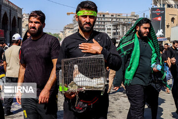 En images : Arbaïn 2022 à Kerbala