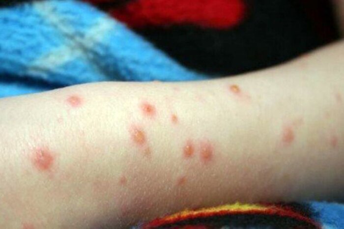 شیر فله تهدیدی برای سلامت شهروندان خراسانشمالی