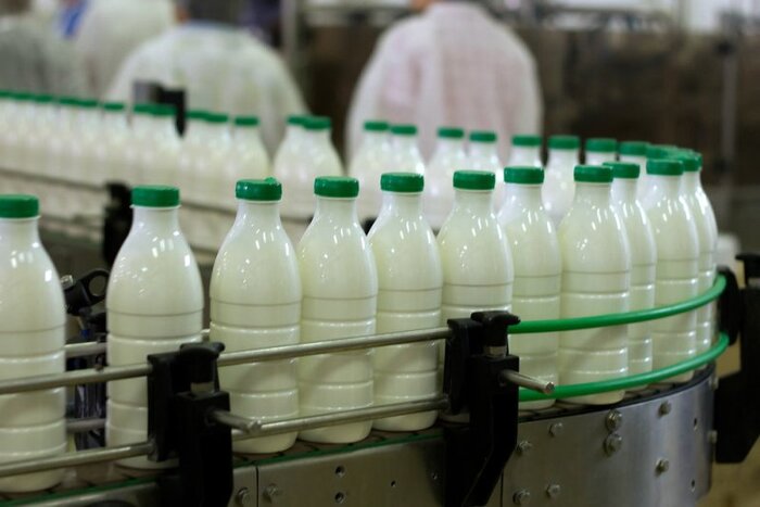 شیر فله‌ تهدیدی برای سلامت شهروندان خراسان‌شمالی