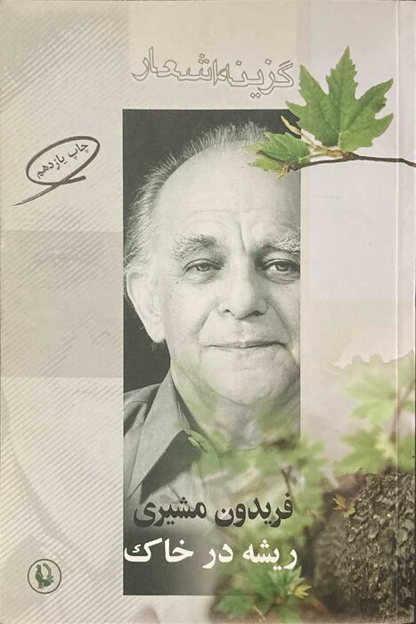 بهمنی: فریدون مشیری از ارزش ادبیات برای فرداها با خبر بود