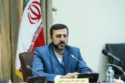 Iranian-American national not barred from leaving Iran: Official