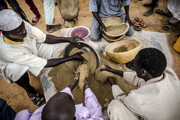 هشدار سازمان ملل: نزدیک به یک میلیون نفر با خطر گرسنگی دست به گریبانند