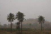 طرح مقابله با ریزگردهای خوزستان اعتبار نگرفت