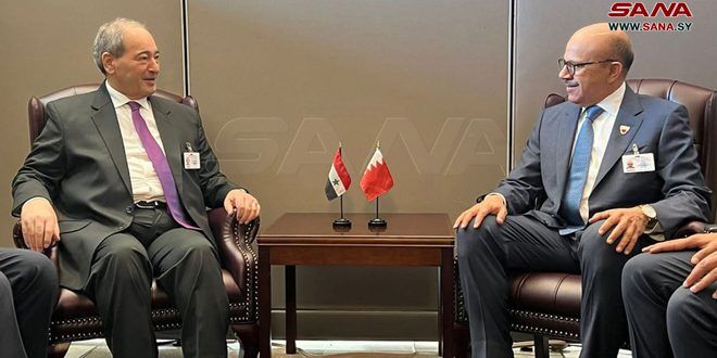 وزیران خارجه سوریه و بحرین درباره تحولات کشورهای عربی گفت وگو کردند