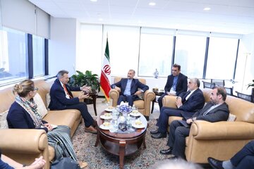 وزیر خارجه ایران با رئیس کمیته بین المللی صلیب سرخ دیدار و گفتگو کرد 