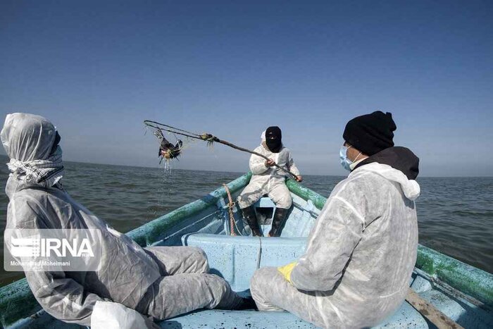 رهاورد سفر رئیس جمهور به مازندران/تالاب بین المللی میانکاله درمسیر احیا و شکوفایی