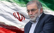 Iran judiciary indicts 14 over Fakhrizadeh assassination