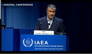 Iran urges IAEA to pursue impartial verification