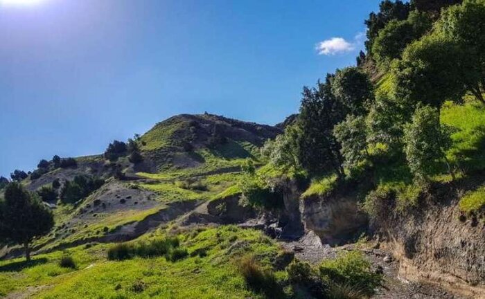 سایه کمبود امکانات بر زیبایی‌ پارک‌های جنگلی لرستان