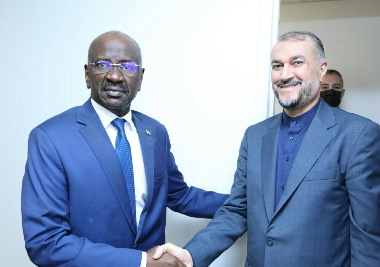 FM says Iran determined to develop ties with Mauritania  