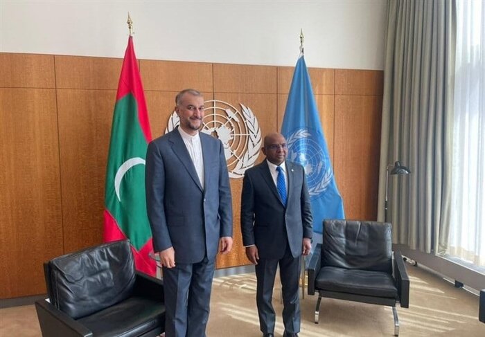 برداشت نادرست از پرچم محل دیدار امیرعبداللهیان و رئیس مجمع عمومی سازمان ملل