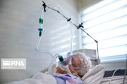 ۳۴ بیمار بدحال مبتلا به کرونا در بیمارستان‌های علوم پزشکی مشهد بستری هستند
