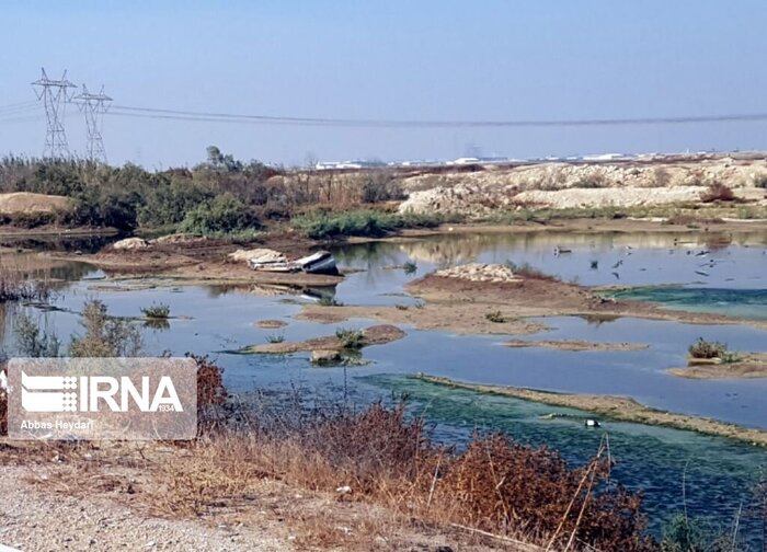 فاضلاب شهری بوشهر دامنگیر خلیج فارس و ساحل نشینان