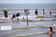 رئیس هیات نجات غریق مازندران نسبت به شنا در دریای خزر هشدار داد