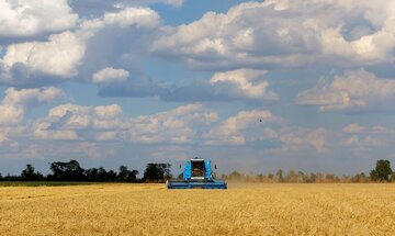 FAO : l'Iran se classe au 14e rang mondial pour la production de blé en 2022