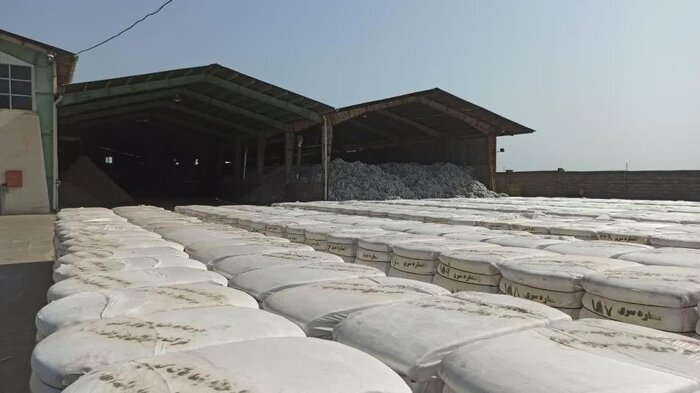 برداشت پنبه در دشت مغان آغاز شد