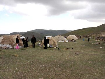 سایه سنگین خشکسالی بر کوچ پاییزه عشایر مغان به میان‌بندها و قشلاقات