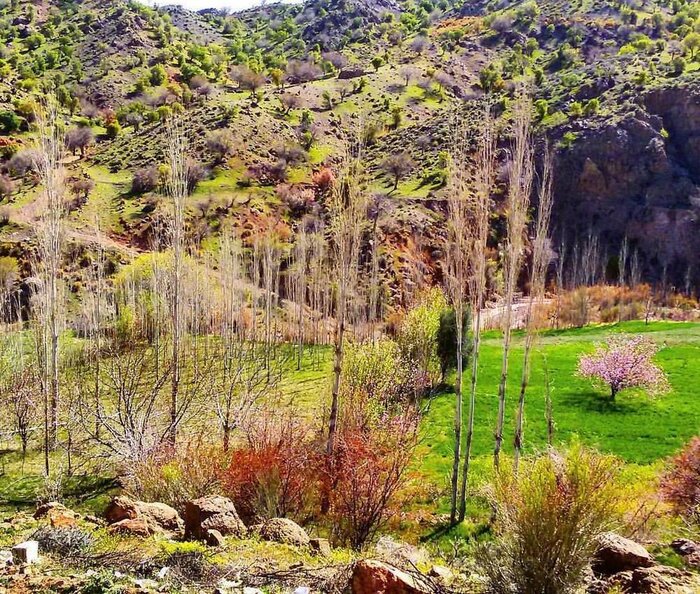 مدال مطالعه بر گردن دِهبَکری کرمان