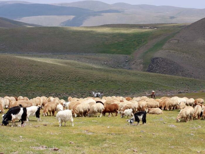 زندگی سخت مردمی که یکجا بند نمیمانند