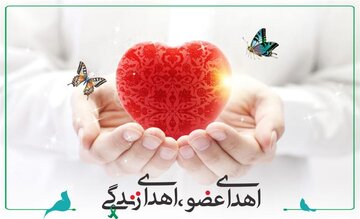 بیمار مرگ مغزی گیلانی به دو نفر جان بخشید