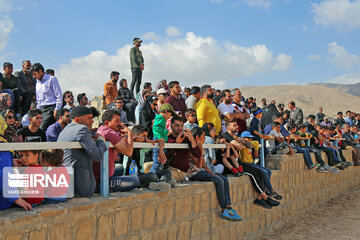 National Turkmen horse festival in northeastern Iran