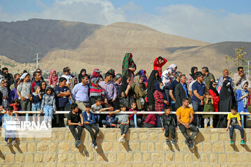 National Turkmen horse festival in northeastern Iran