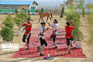 National Turkmen horse festival in northeastern Iran