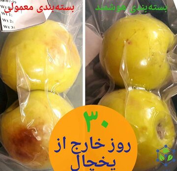 افزایش زمان مصرف مواد غذایی با کیسه‌های هوشمند نانویی تولید فناوران ایرانی+فیلم