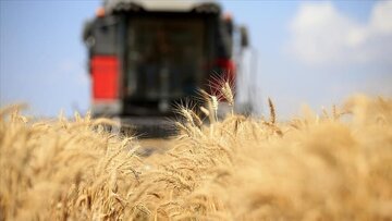 چشم‌انداز تولید غلات دنیا در سال ۲۰۲۳؛ سایه جنگ اوکراین بر کشاورزی دنیا ادامه دارد