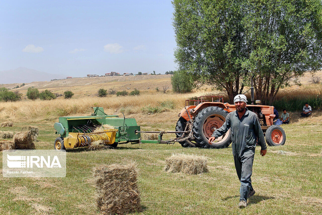 یک هزار و ۸۴۶ نفر از خدمات صندوق بیمه اجتماعی استان مرکزی بهره‌مند شدند