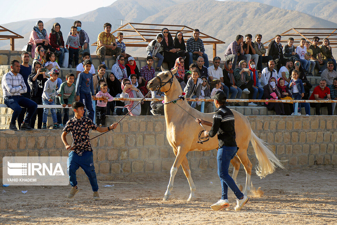 IRNA English - National Turkmen horse festival in northeastern Iran