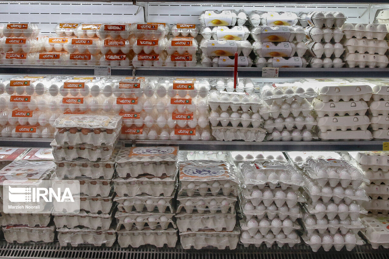 قیمت گوشت مرغ و تخم مرغ هیچگونه افزایشی ندارد/برخورد جدی با گران فروشان 