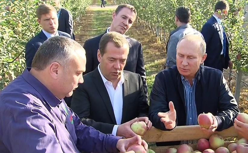 پوتین : آماده مشارکت در حل مشکلات غذایی جهان بویژه کشورهای فقیر هستیم