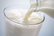 ۱۳۸ هزار تُن شیر در استان قم تولید شد