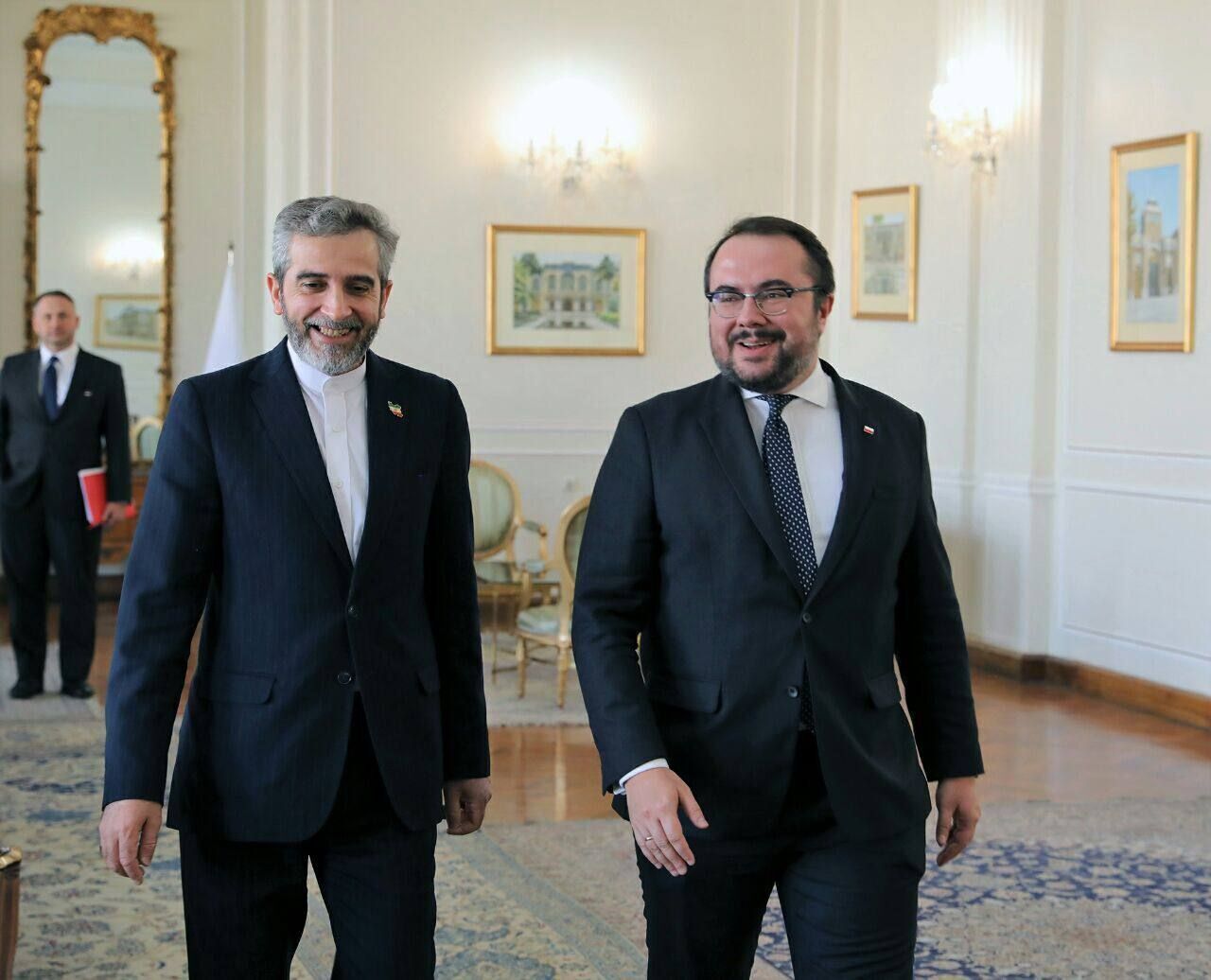 ایران بین الاقوامی امن کے قیام میں پولینڈ کے کردار ادا کرنے کی حمایت کرتا ہے: باقری کنی