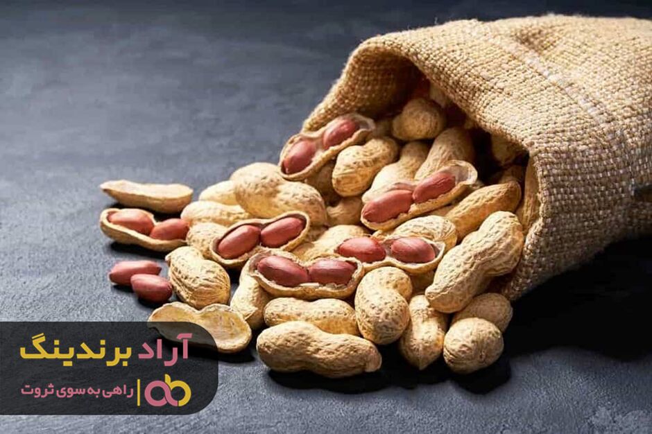 خرید بادام زمینی آستانه اشرفیه به صورت عمده