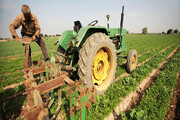 اختصاص ۱۷۰ میلیارد ریال تسهیلات ارزان قیمت به کشاورزان کردستانی 