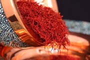 دنیا کے سب سے بڑے زعفران کے سودے کی پہلی کھیپ قطر بھیج دی گئی