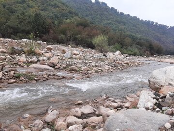 هدایت رسوبات معدنی به رودخانه چالوس معضل جدی است