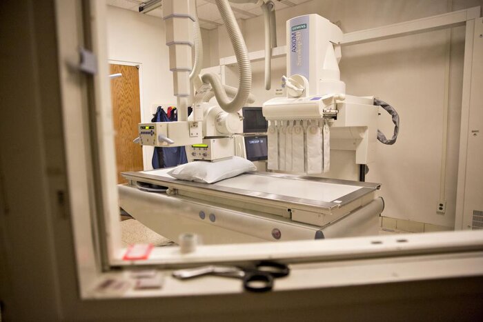 پسلرزههای بحران انرژی در اروپا؛ گرانی اضطراب آلمانیها را بیشتر کرد