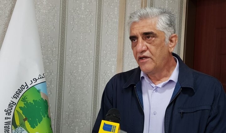 ۳۰ میلیون هکتار از عرصههای طبیعی کشور تحت تاثر فرسایش بادی قرار دارند